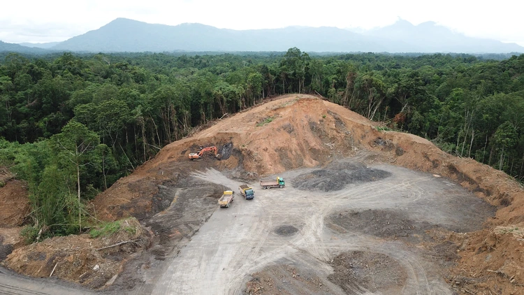 Deforestation aerial photo. Rainforest jungle in Borneo, Malaysia, destroyed to make way for oil palm plantations