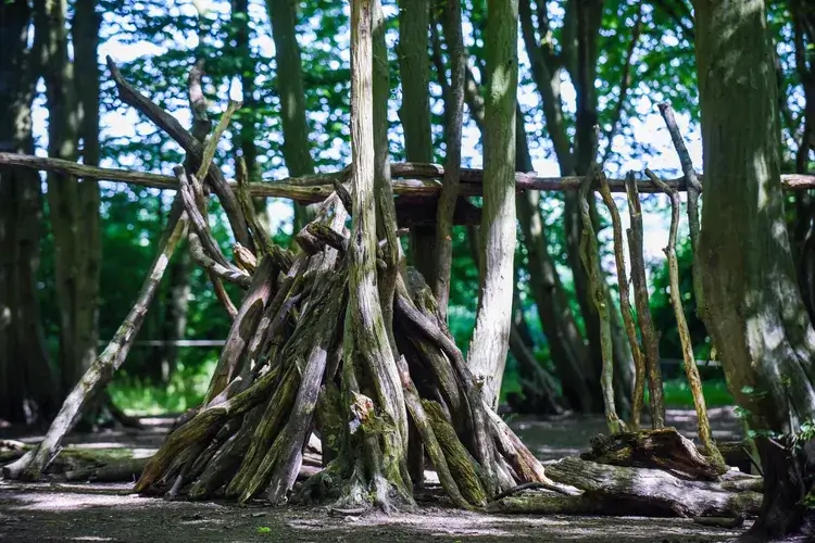 An outdoor den made of sticks