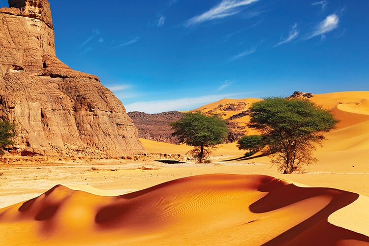 Desert scenery, trees, sand dunes and cliffs