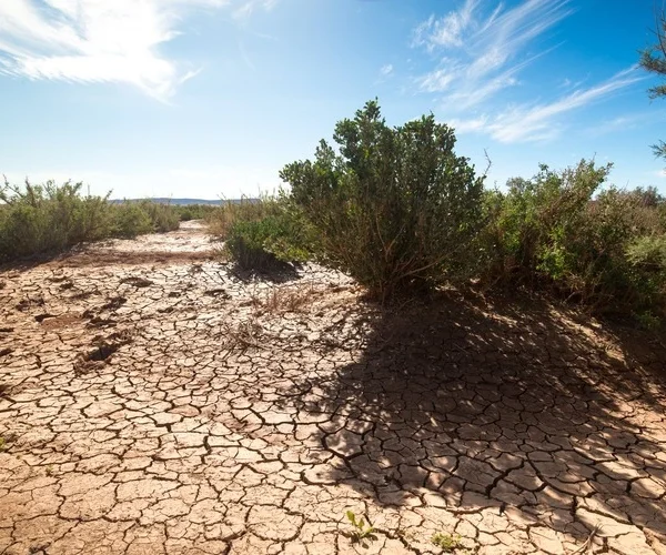 Drought and desertification moroccan Sahara