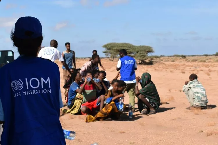 More than 139 migrants died after a boat carrying 305 people capsized off the coast of Djibouti on 8–9 October 2026. IOM is providing survivors with healthcare, psychosocial support, food, shelter and protection services.