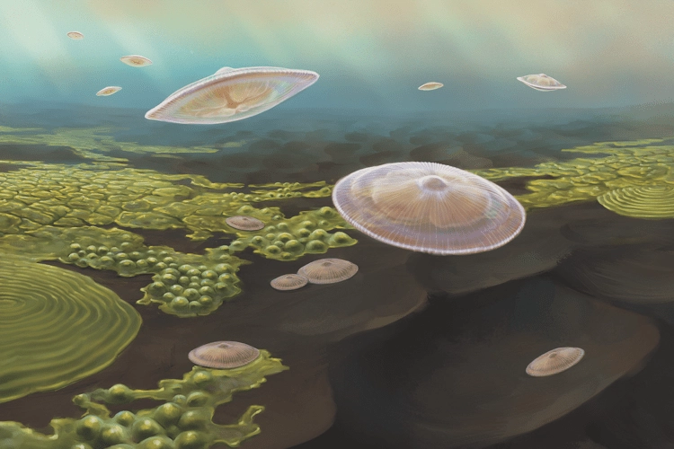 Artist's impression of complex early life found in the Franceville Basin