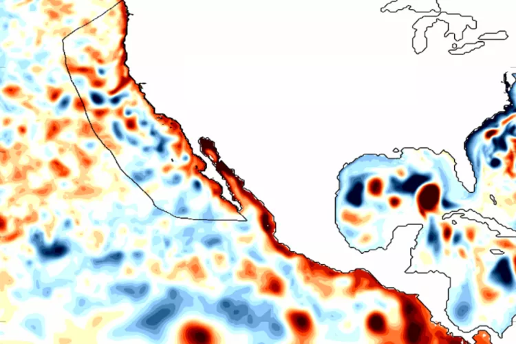 Coastally-trapped Kelvin waves, a signature of El Niño, traveled north along the West Coast during the 1997/1998 El Niño, as shown in a map of sea surface height anomalies. Darker reds show sea levels higher than normal, while darker blues show heights below normal. Scientists are now watching for similar waves to move up the West Coast this fal