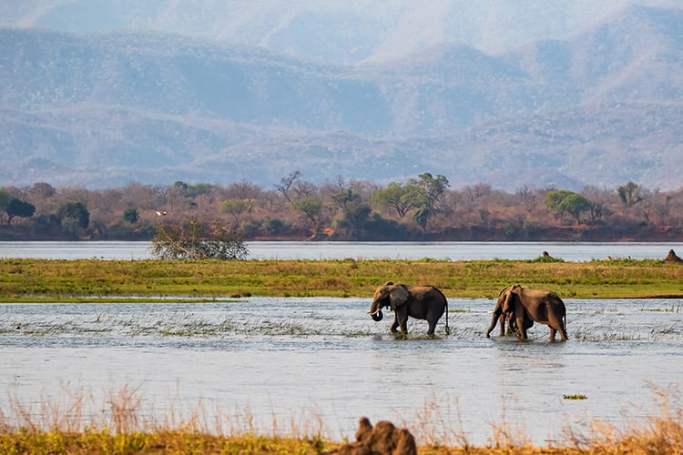 The Zambezi Corridor: Mapping the lifeline that connects three of Zambia’s Great&hellip;