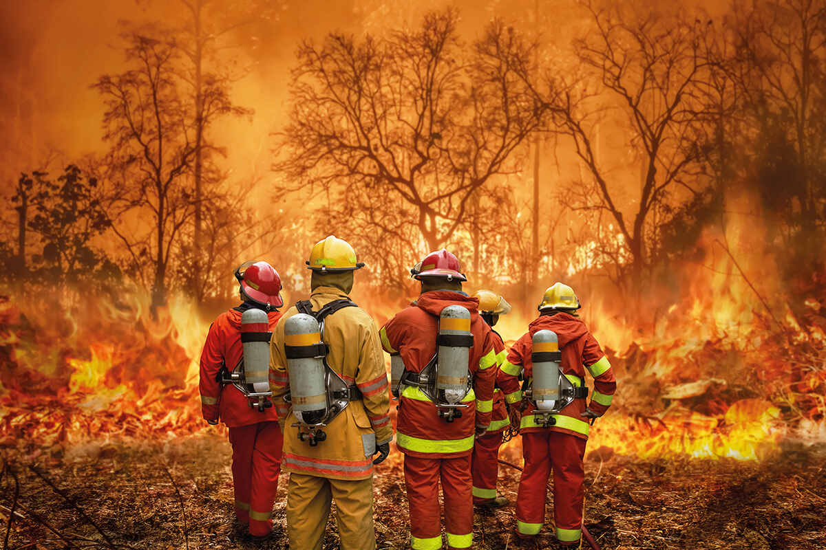Firefighters stand surrounded by a forest fire