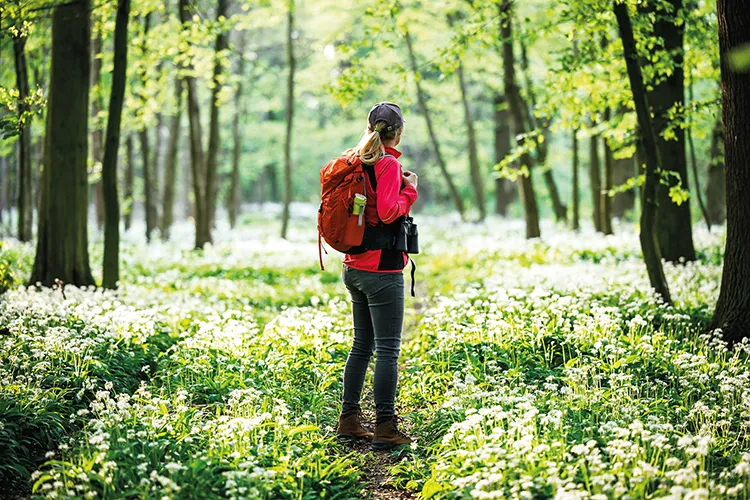 A woman with a red jacket and backpack standing in woods on a sunny day