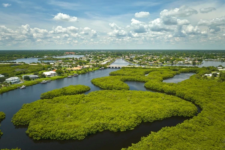 View from above of Florida everglades with green vegetation between ocean water inlets. Natural habitat of many tropical species in wetlands