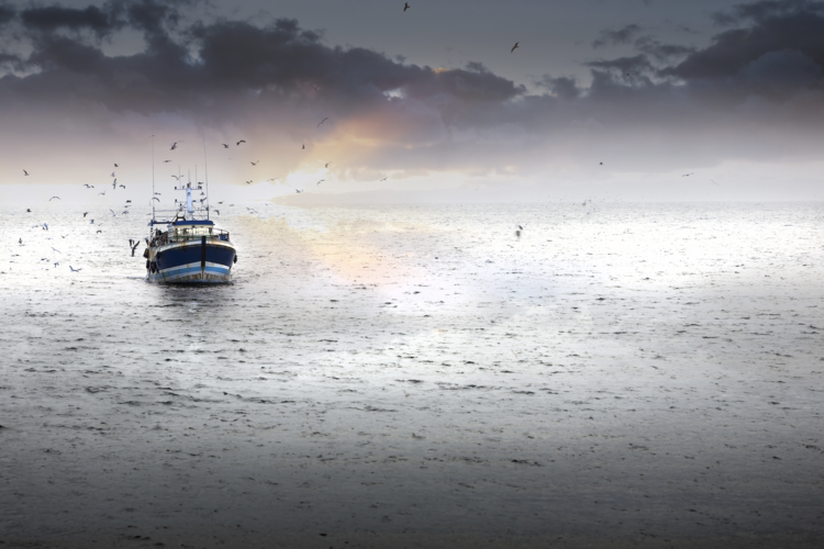 A ship in the middle of the ocean with seabirds
