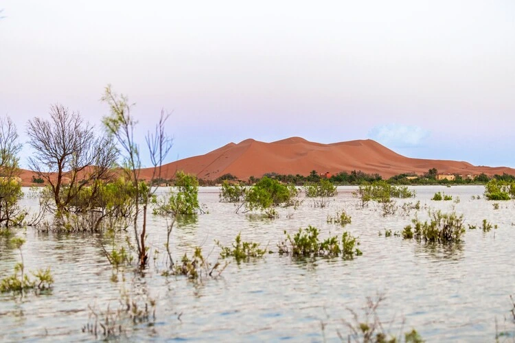 After the heavy rains and floods of last week in Merzouga, beautiful lakes have formed along the edges of Erg Chebbi. 