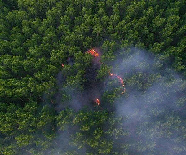 New online tool can identify climate misinformation