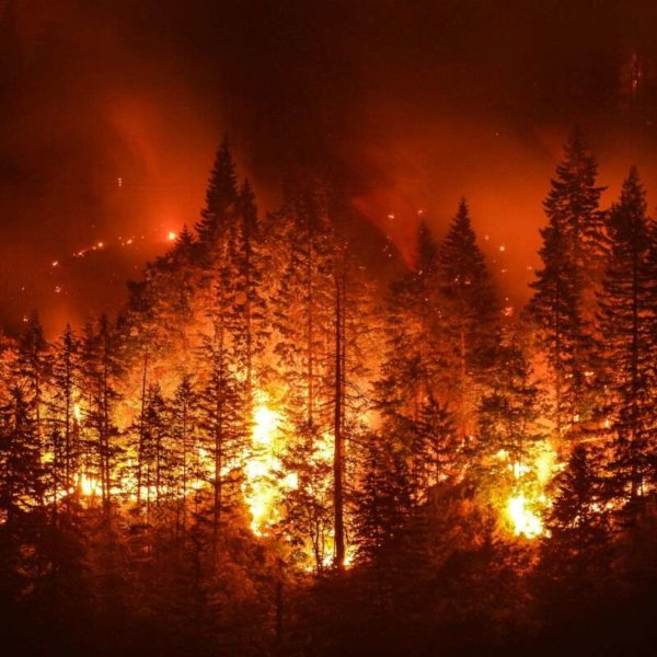 Eagle Creek Wildfire in Columbia River Gorge forest, Oregon