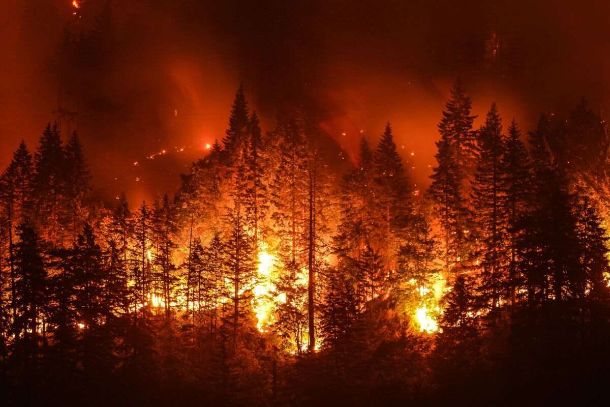 Eagle Creek Wildfire in Columbia River Gorge forest, Oregon