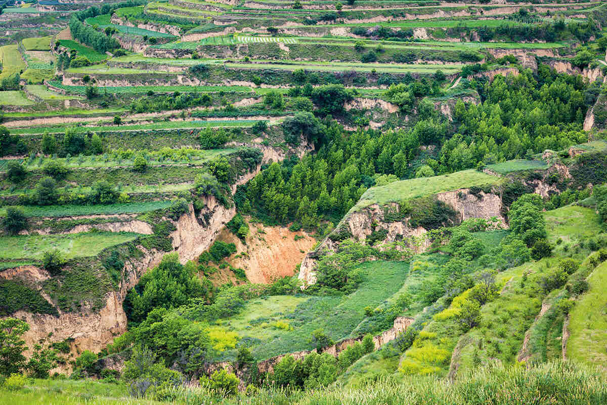 A landscape of the rocky and grassy verdant restored fertile terraces of Gansu China