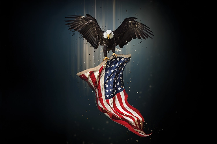 Concept art of an eagle with the american flag in its talons