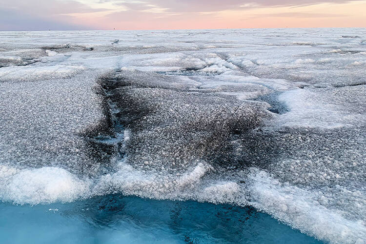 An algal bloom in Greenland