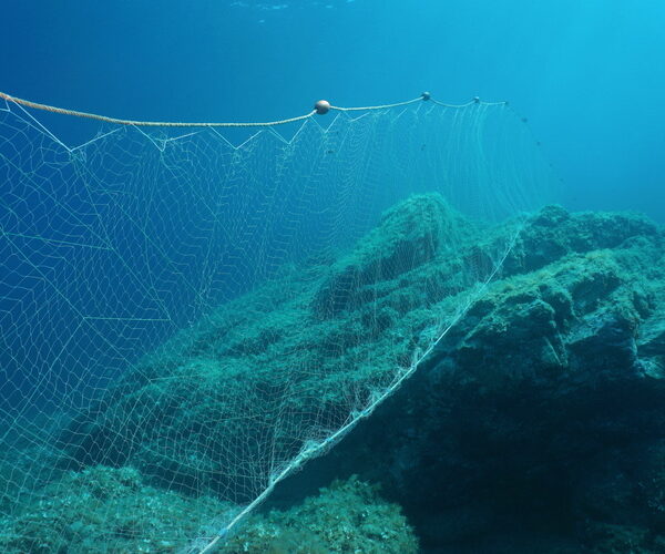 New coalition targets destructive fishing in Europe’s protected seas