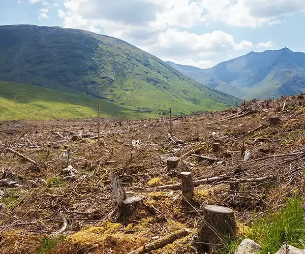 Scotland’s ecocide bill could set a global legal precedent
