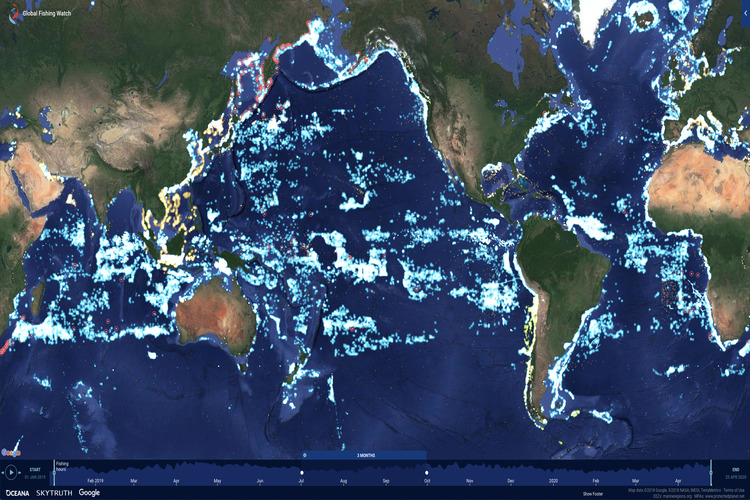 What are the dark fleets of fishing?
