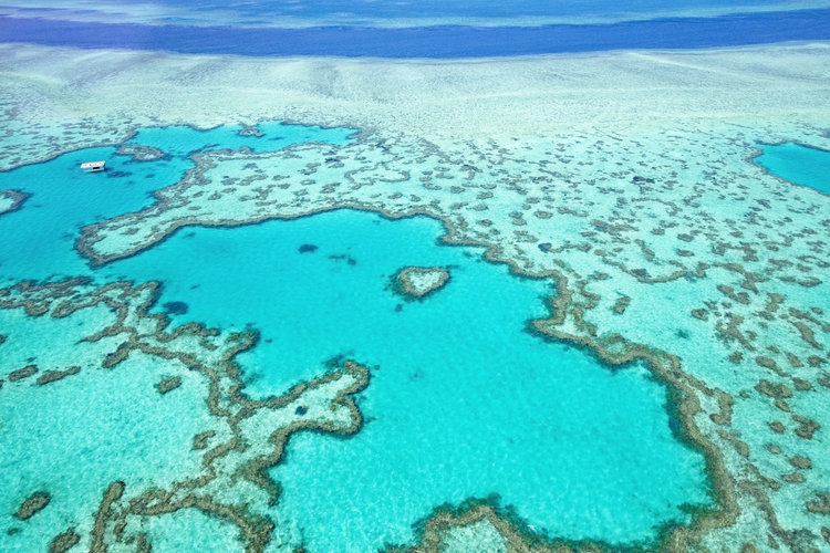 Great barrier reef aerial shot