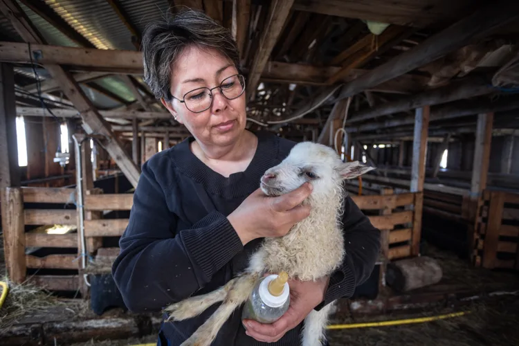 Sheep farmer Elna Jensen