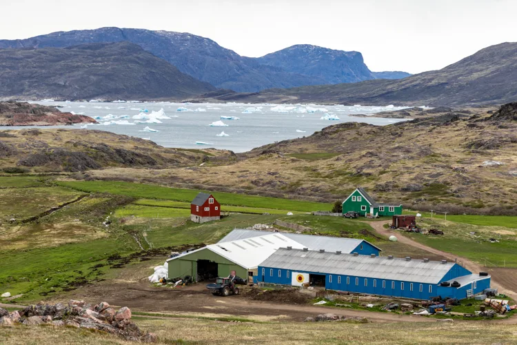 Aviâja Frederiksen’s farm in Greenland