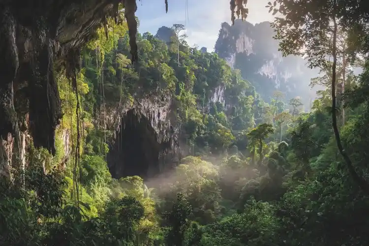 Gunung Mulu National Park