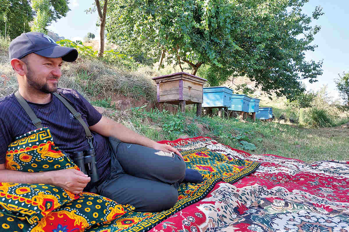 Mirzo taking a rest on colourful blankets beside the hives