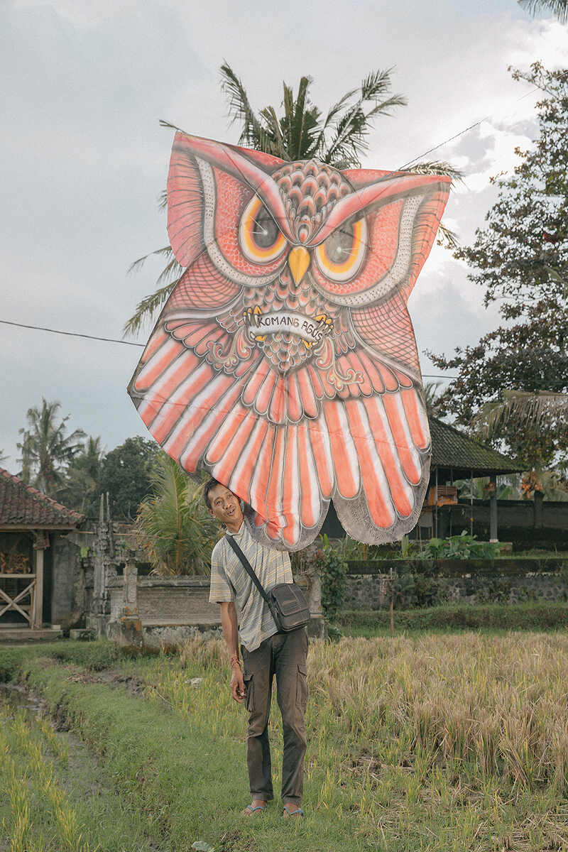 boy holding a kite with an owl design