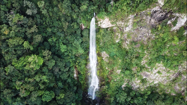 Bejuco Falls Waterfall in Pico Bonito National Park in Honduras