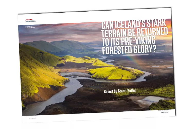 Iceland cover
