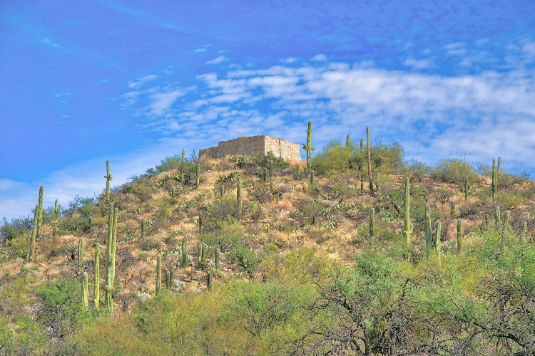 Groundwater control infrastructure at Sabino Canyon State Park in Tucson, Arizona. Hill with structure on top and saguaro cactuses and shrubs on the slope