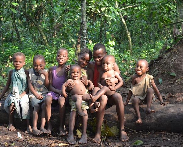 Abuse allegations rock Prince Harry-linked African Parks charity
