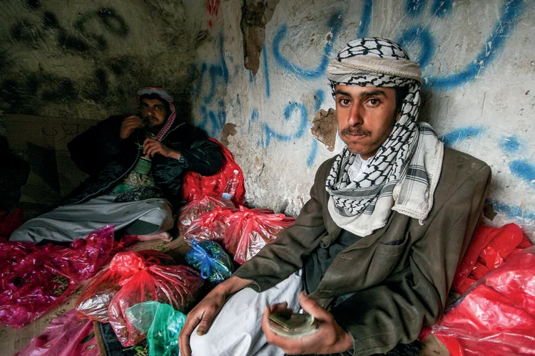 Young men chewing qat in Yemen