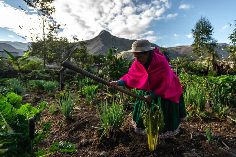 An Indigenous woman carries a hack or axe to work the fields.