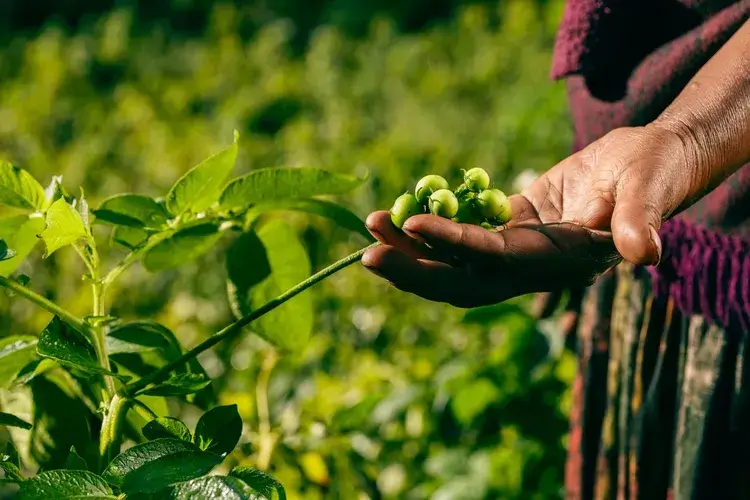 At least 124 land and environmental defenders killed globally in 2025