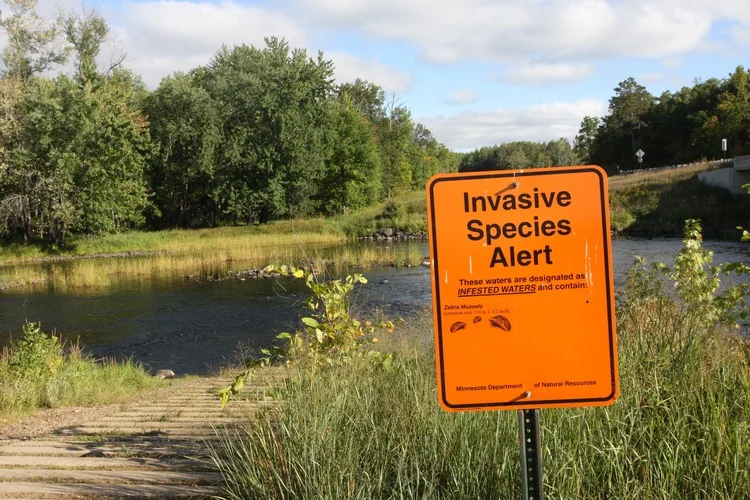 Invasive species zebra mussels warning sign at Pine River boat landing in north central Minnesota.