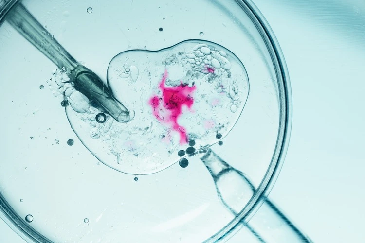 Close-up of in vitro fertilization process with vivid colors