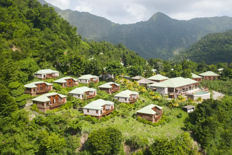 The forested hill-top resort of Jungle Bay