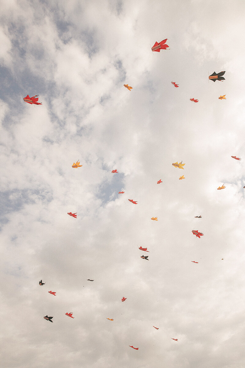 kites in the sky