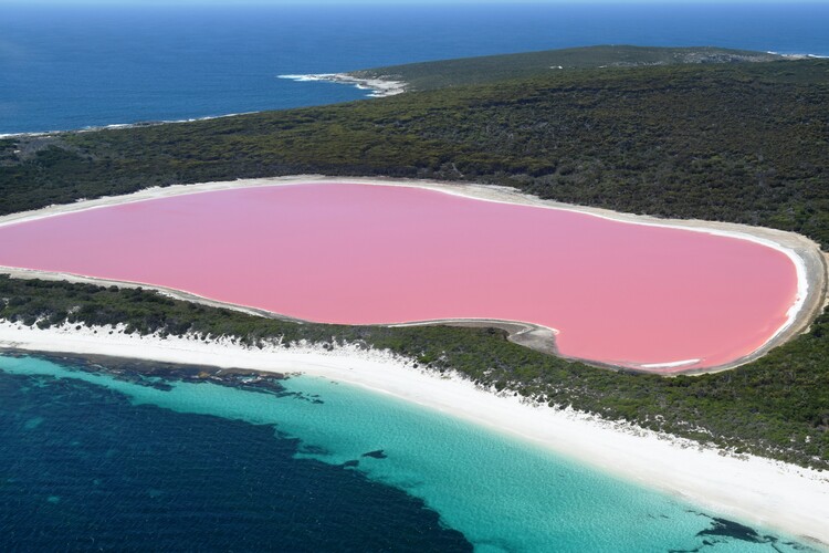 Aerial view of Lake Hillier, Western Australia