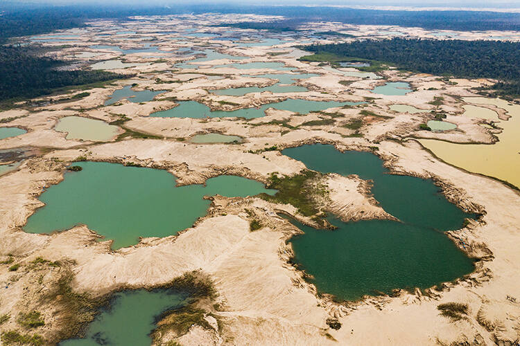 Illegal mining has claimed a third of Peru’s La Pampa forest