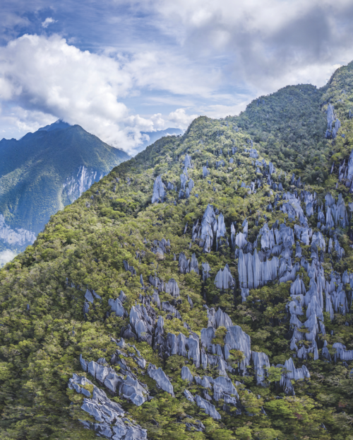 Limestone outcrops