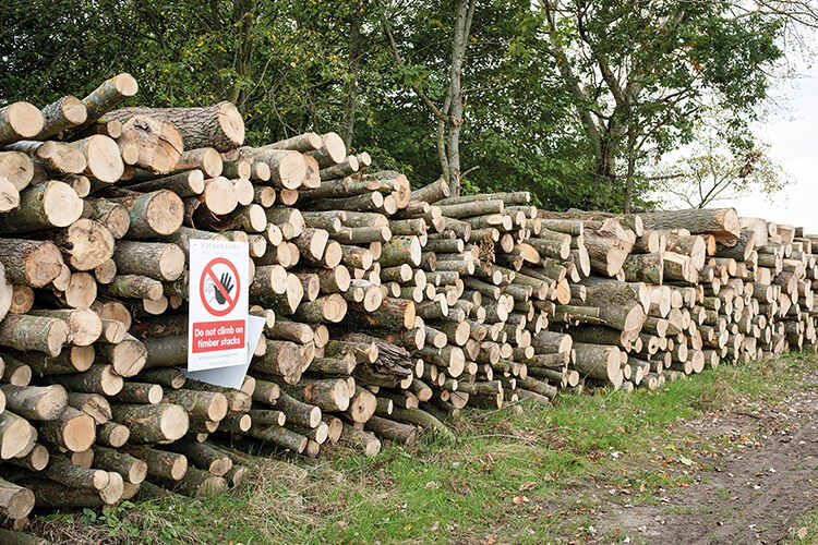 English logs to be burnt for biomass heating