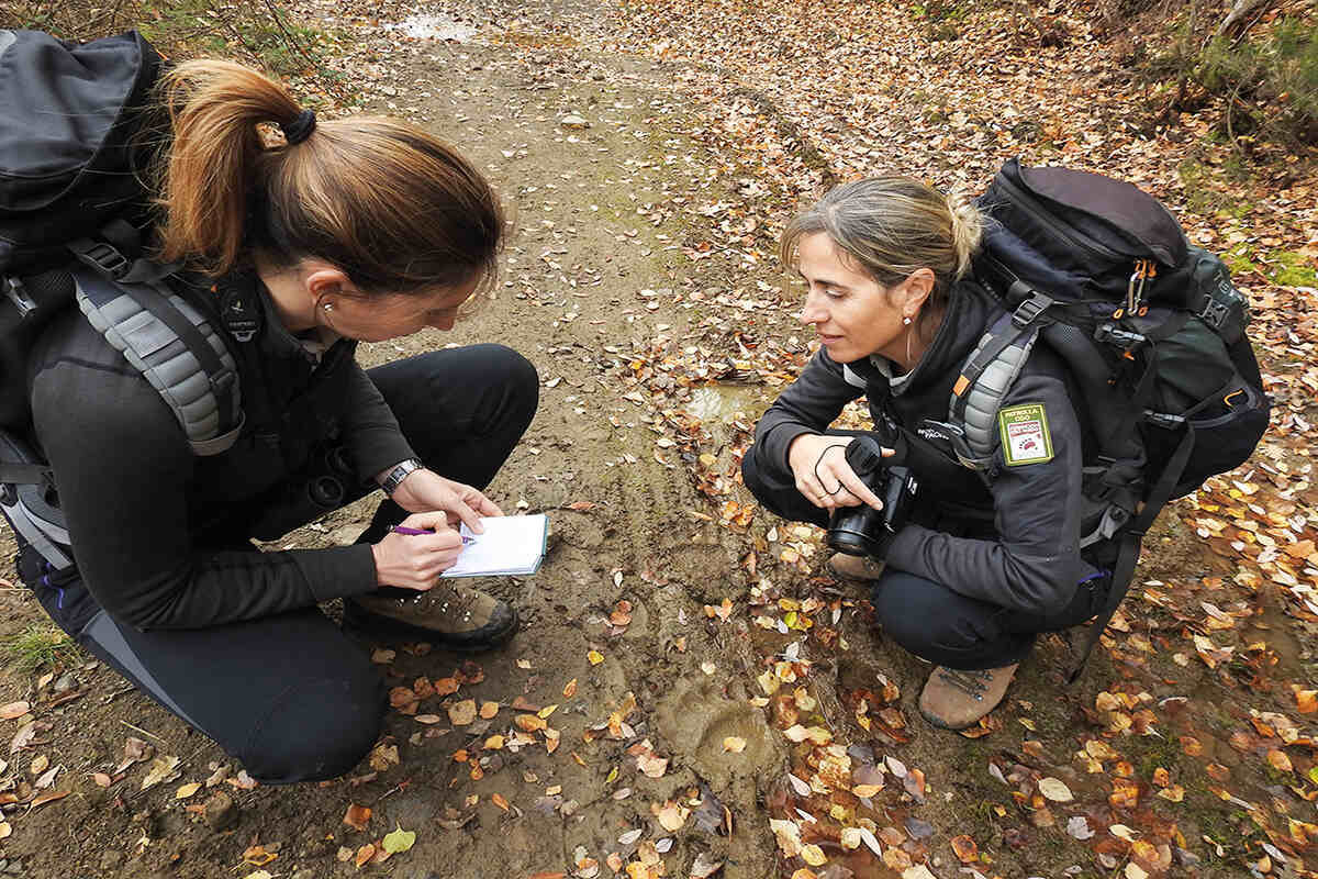 Two women on bear patrol collecting data and evidence on passing bears from the mud path