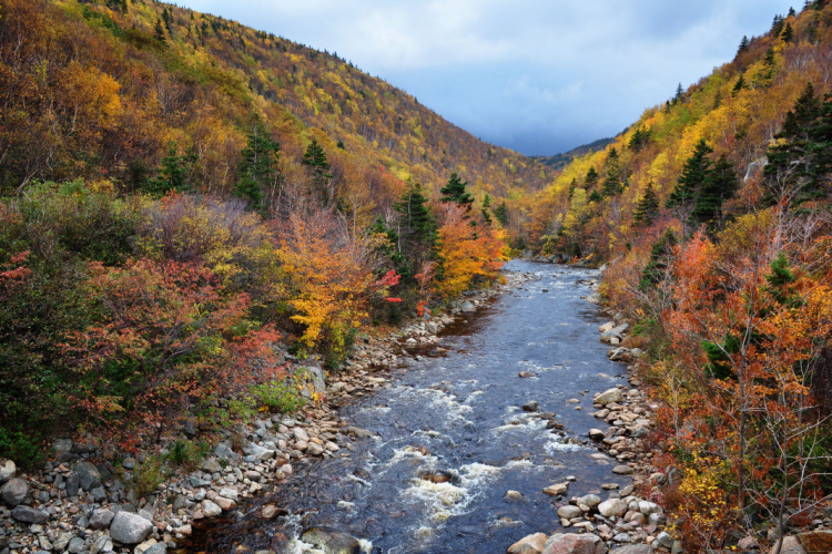 QUIZ: River Trivia