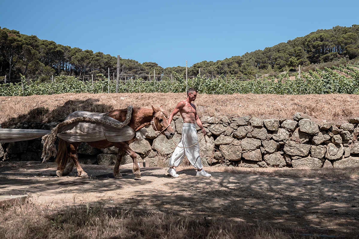 A shirtless man leads a donkey by a rope along a street with trees in the background