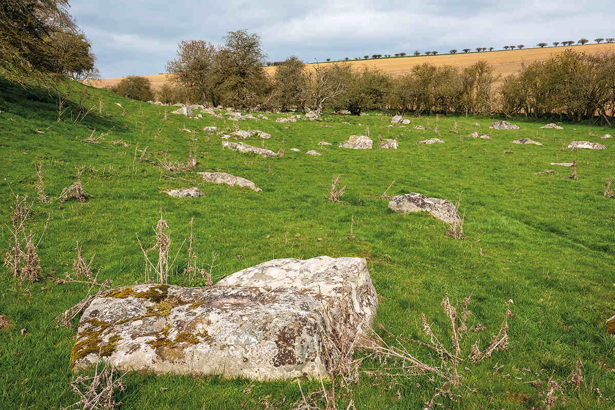 A field with piggledene's sarsen stones in marlborough