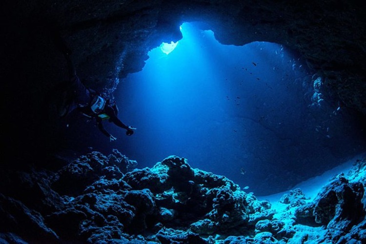 Underwater view of Mariana Trench