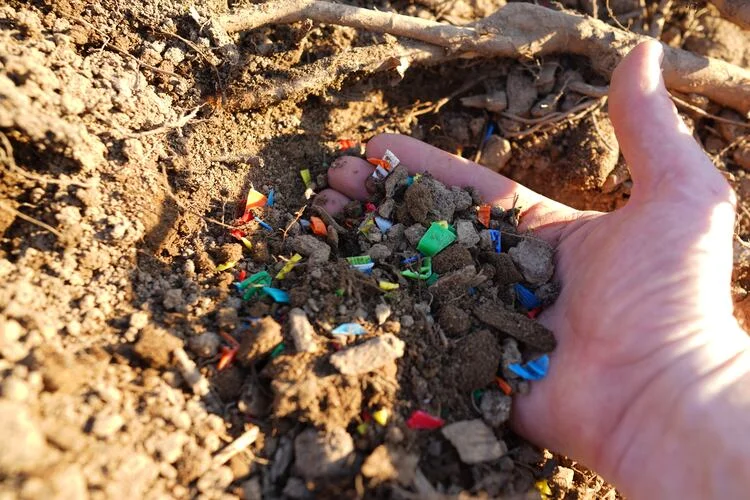 Microplastics in ground being picked up by a hand.