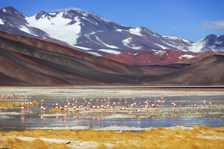 Black lagoon (Laguna Negra), volcano Pissis, Catamarca, Argentina